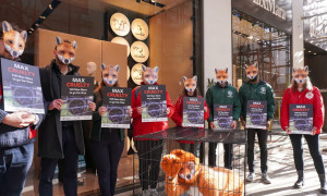 Basta pellicce e colli di pelliccia basta sofferenza: gli animalisti contro le pellicce e Max Mara