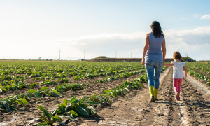 Coldiretti donne: in Sardegna 7800 donne impiegato in agricoltura