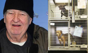 Paul vince 4 milioni di dollari alla lotteria e dona parte della vincita agli animali pi&ugrave; bisognosi