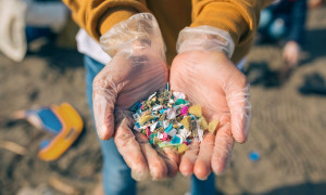 Giornata Mondiale del riciclo, in Sardegna bene la raccolta differenziata degli imballaggi