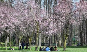 &Egrave; scattato l&rsquo;equinozio di primavera