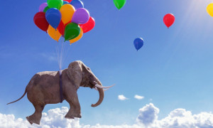 Oggi &egrave; la Giornata della felicit&agrave;: "Felici insieme"