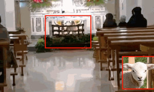 Agnello legato durante la funzione religiosa: l'Aidaa presenta un esposto