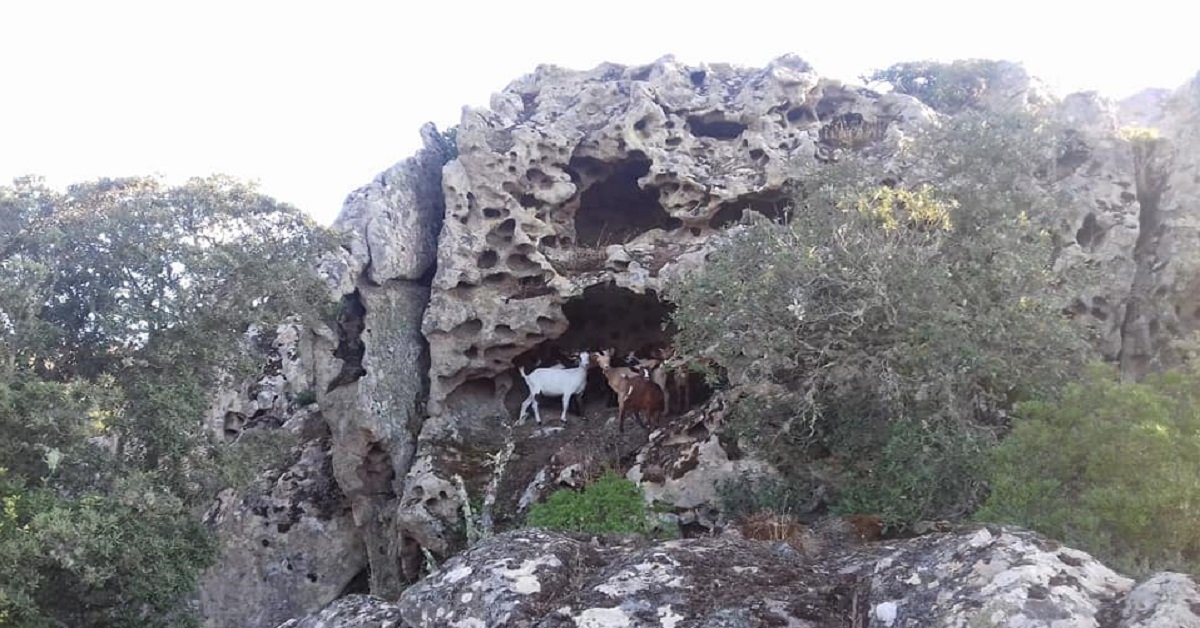 Buongiorno Sardegna