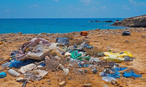 Beach Litter 2024: La Top Five dei Rifiuti Raccolti