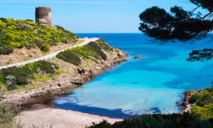 Parco nazionale dell'Asinara: numero chiuso per tutelare l'ambiente