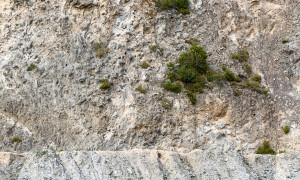 Giornata Nazionale delle Miniere: alla scoperta della storia millenaria del Monte Arci