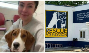 Donna ritrova il suo cane dato per morto e ora lo vuole indietro: battaglia legale in corso