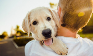 Tari ridotta a San Giovanni Suergiu per chi adotta un cane