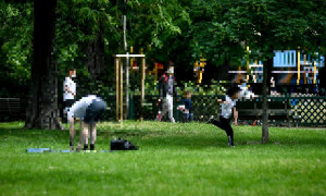 Corvo ucciso a morsi nel parco di San Gavino di Porto Torres, &egrave; stato denunciato un 35enne