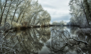 Coppia di pescatori trova una cassaforte con 100mila dollari