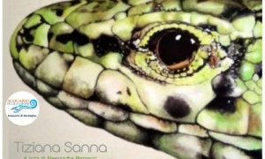 Acquario di Cala Gonone, arriva la mostra Tiliguerta di Tiziana Sanna