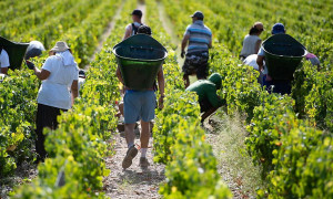 Domani parte dalle &ldquo;Vie del mare" il mese di mobilitazione di Coldiretti