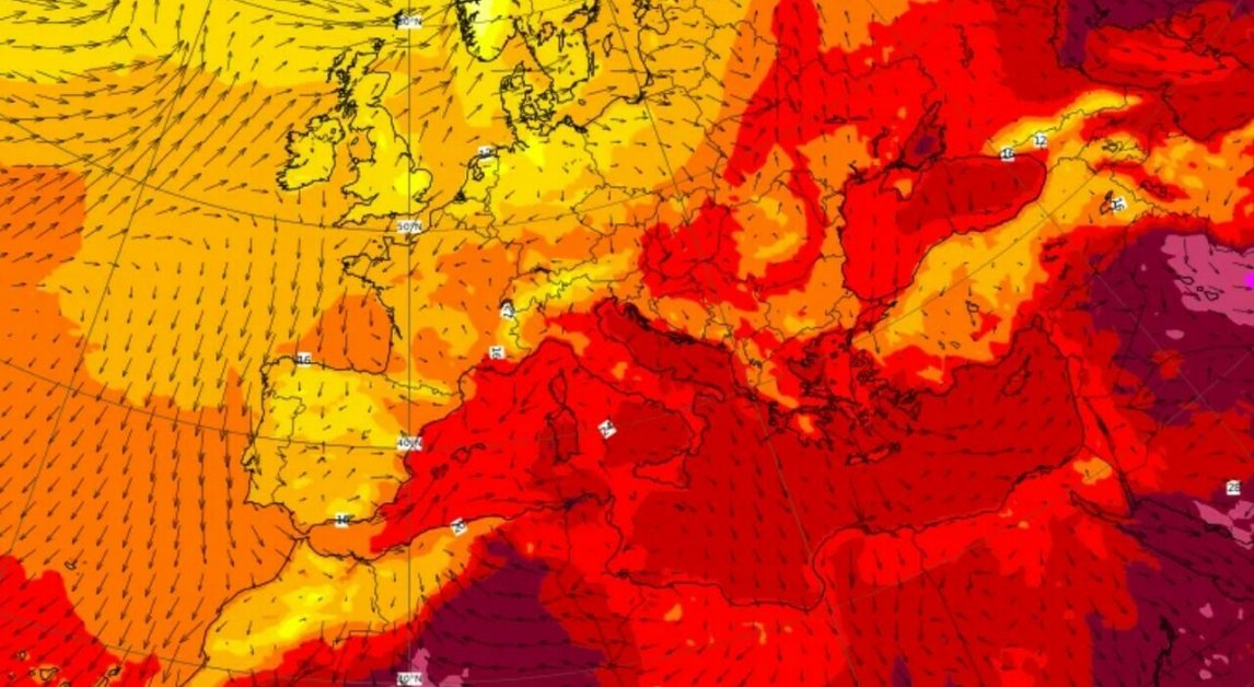 Fuori dal Gregge