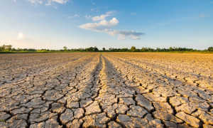 Siccit&agrave;, Coldiretti Sadegna: "Bene prime risposte dalla Regione"