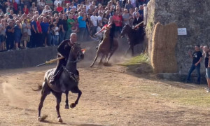 Oristano, due cavalli morti all'Ardia di Sedilo, scatta l'accesso agli atti dell'Oipa