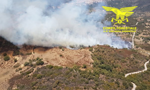 Triste record per la Sardegna venti incendi in 24 ore