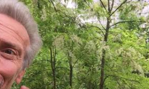 Giovanni Storti del trio Aldo Giovanni e Giacomo celebra gli ulivi secolari di Luras