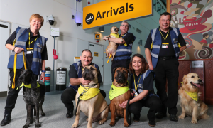 I servizi offerti da numerosi aeroporti: pet therapy e noleggio abiti