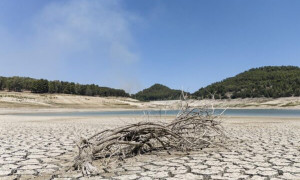 La Regione Sardegna proclama lo stato di calamit&agrave; per la siccit&agrave;
