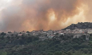 Orotelli si unisce: raccolta fondi per gli allevatori devastati dagli incendi