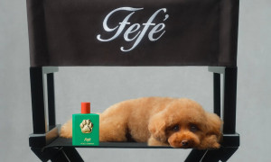 Fef&eacute;, la nuova fragranza per cani di Dolce &amp; Gabbana