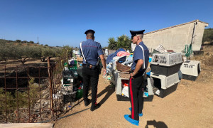 Flumini di Quartu: scoperto un canile-lager con 120 animali denutriti