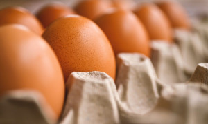Uova contaminate dalla salmonella, ecco i marchi sotto la lente d&rsquo;ingrandimento del Ministero