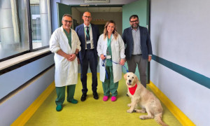 Ospedale di Treviglio (Bergamo): il nuovo "medico" ha quattro zampe e si chiama Prince