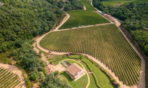 Cantina Siddura di Luogosanto, lo Spera &egrave; il miglior Vermentino d'Italia