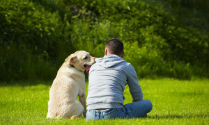 Asl Cagliari, corso gratuito per proprietari di cani