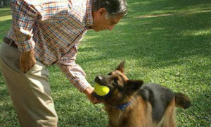 Il magnate indiano Ratan Tata lascia la sua eredit&agrave; al cane Tito