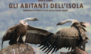 Incontri di solidariet&agrave; Unicef alla Fondazione di Sardegna di Cagliari