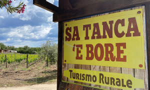 Migliori steak house d&rsquo;Italia, ci sono anche due ristoranti sardi