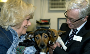 Lutto per la regina Camilla: &egrave; morta la sua cagnolina Beth