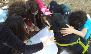 Lotteria di Natale casa famiglia Killia, si cercano volontari