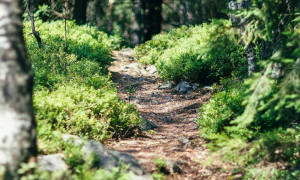La Sardegna prima regione in Italia per consumo del suolo