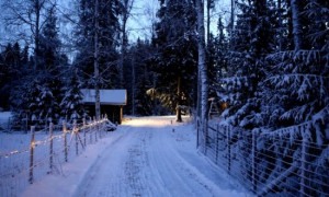 Natale bittiese, tradizioni religiose e profane