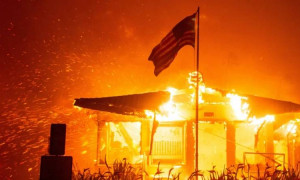 Fiamme a Hollywood: in cenere le ville di Paris Hilton e Billy Crystal