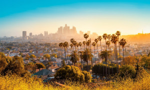 Incendi a Los Angeles, 24 morti, dichiarata emergenza sanitaria