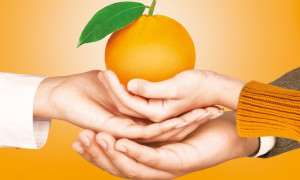 L&rsquo;AIRC sabato 25 gennaio torna nelle piazze delle nostre citt&agrave; con le Arance della Salute