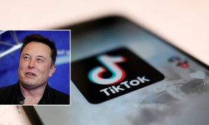 Musk potrebbe avere TikTok Usa. Ma la piattaforma smentisce