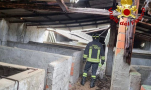 Lanusei, tetto crolla per il vento, alcuni animali morti