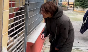 Caterina Murino al canile comunale di Cagliari