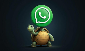 WhatsApp e il caso della "modalit&agrave; tartaruga": solo una personalizzazione grafica