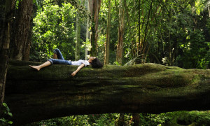 Il Forest Bathing arriva in Sardegna