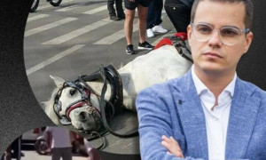Enrico Rizzi in piazza a Cagliari contro la violenza sugli animali