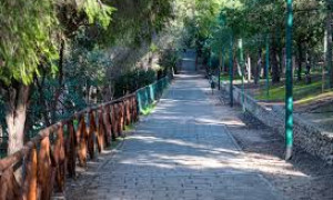 &ldquo;La citt&agrave; per il Verde&rdquo;, Cagliari si aggiudica il premio nazionale nella sezione &ldquo;Manutenzione"