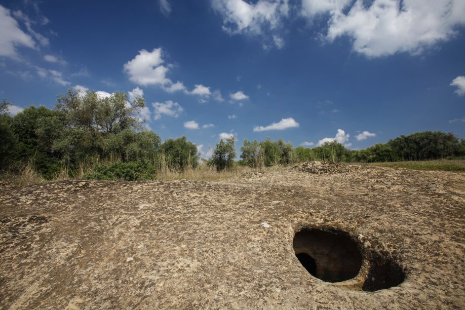 Prossima Fermata