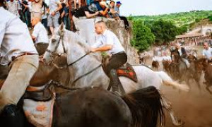 L&rsquo;Ardia non si tocca: una legge per difendere l&rsquo;anima della Sardegna